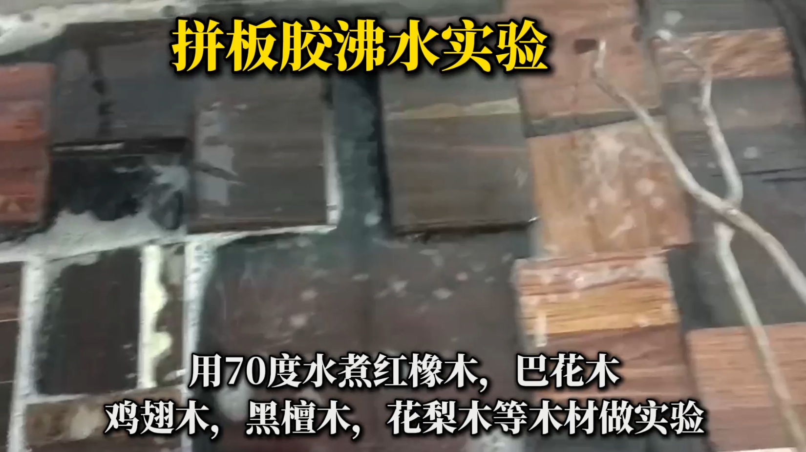 欣凱利拼板膠怎么樣？適合用在什么木材上